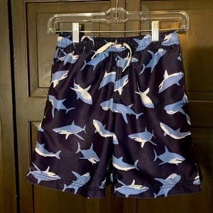 Boys Size 10 Hanna Anderson Swim trunks or swimsuit with built in rash guard.
